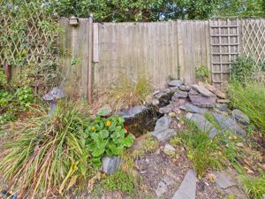 Pond - click for photo gallery